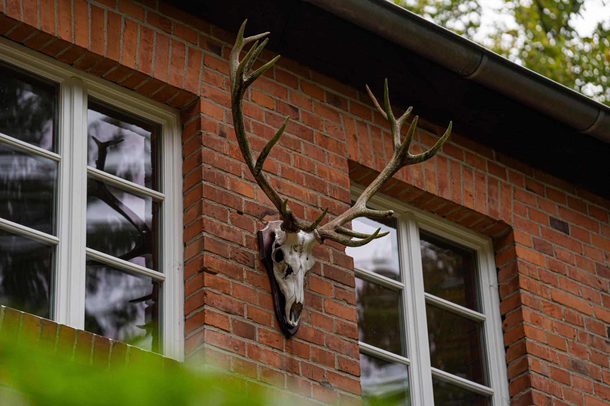 Wald- Und Seeidyll Im Historischen Forsthaus Neuruppin Buitenkant foto